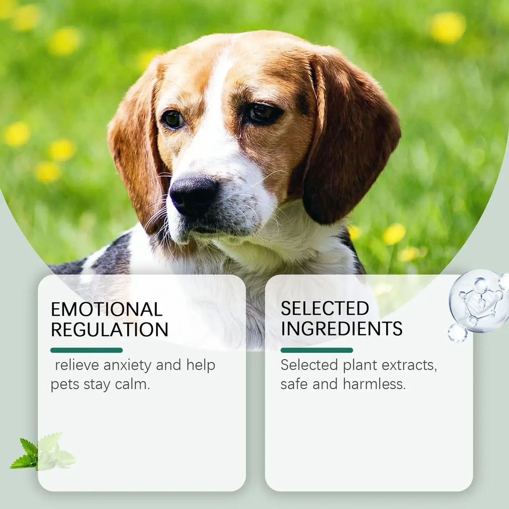 A calm tan and white beagle with floppy ears featured in pet anxiety relief drops for dogs and cats product image