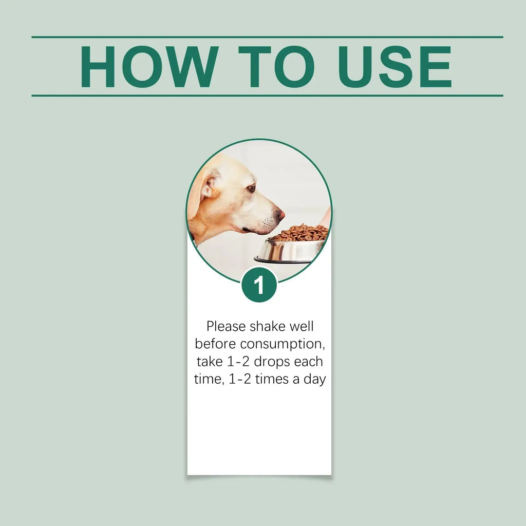 A metallic dog food bowl filled with brown kibble in front of a light-colored labrador for pet anxiety relief drops