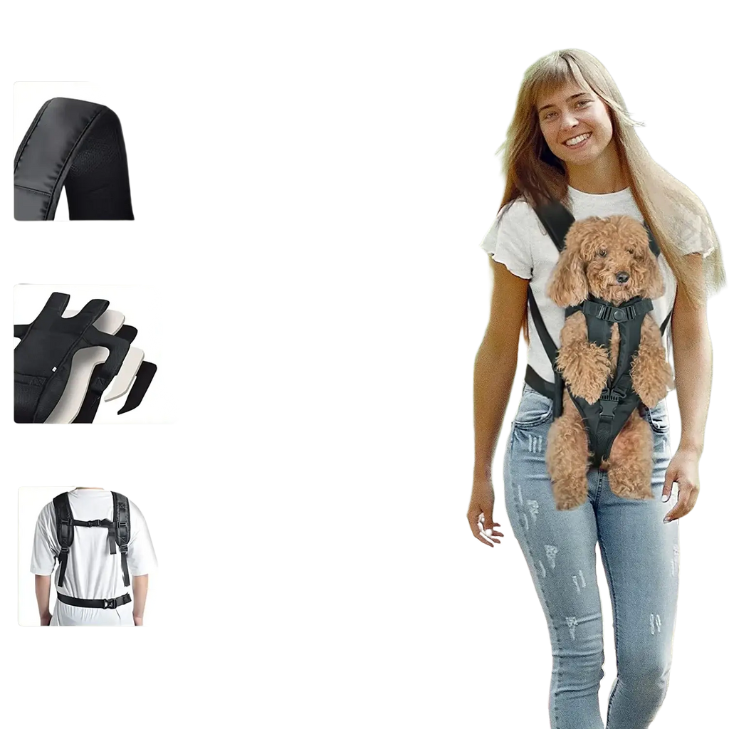 Black padded pet carrier backpack with adjustable straps and secure buckles for comfortable small dog transport