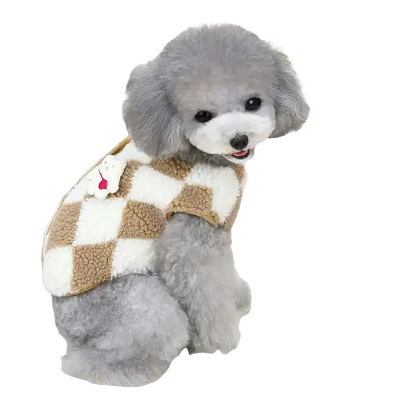 A gray poodle wearing a cozy pet clothing fleece puppy jumpsuit plaid coat with brown and cream checkered pattern