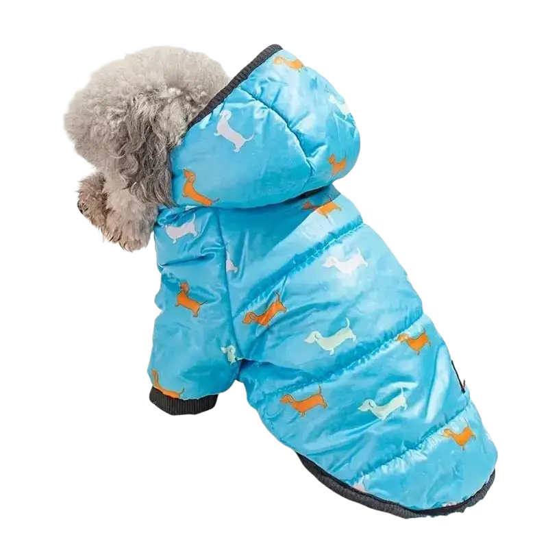 A bright blue hooded puffer coat with orange and white dachshund print for pet clothing use