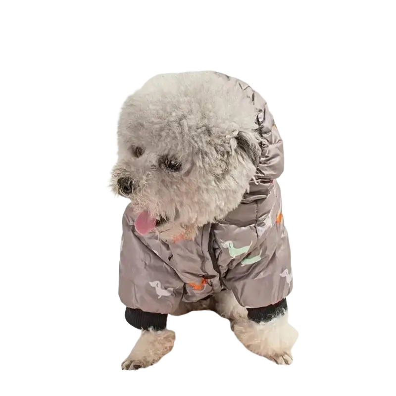 Gray hooded dachshund puffer coat with playful duck prints worn by a fluffy dog for stylish pet clothing
