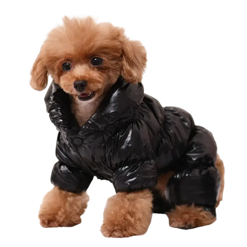 Black puffer coat for dogs pet clothing puppy warm cotton windproof winter apparel shown from the back side