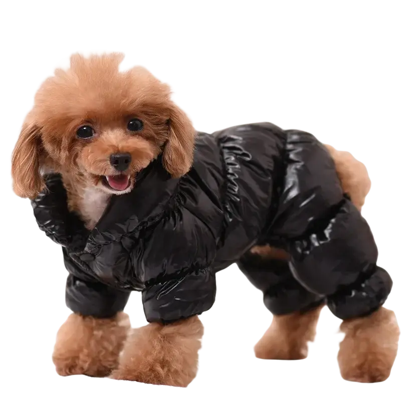 Black puffer coat for dogs pet clothing puppy windproof warm cotton winter apparel shown from the back side