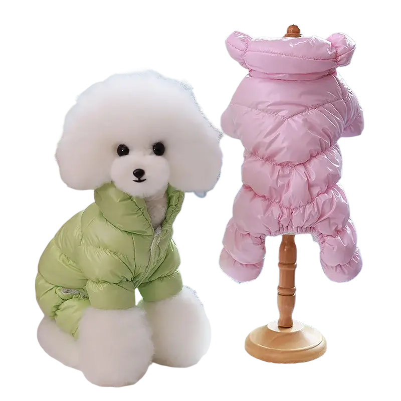 A fluffy white poodle wearing a green quilted cotton pet clothing puppy windproof winter coat with hood and zipper