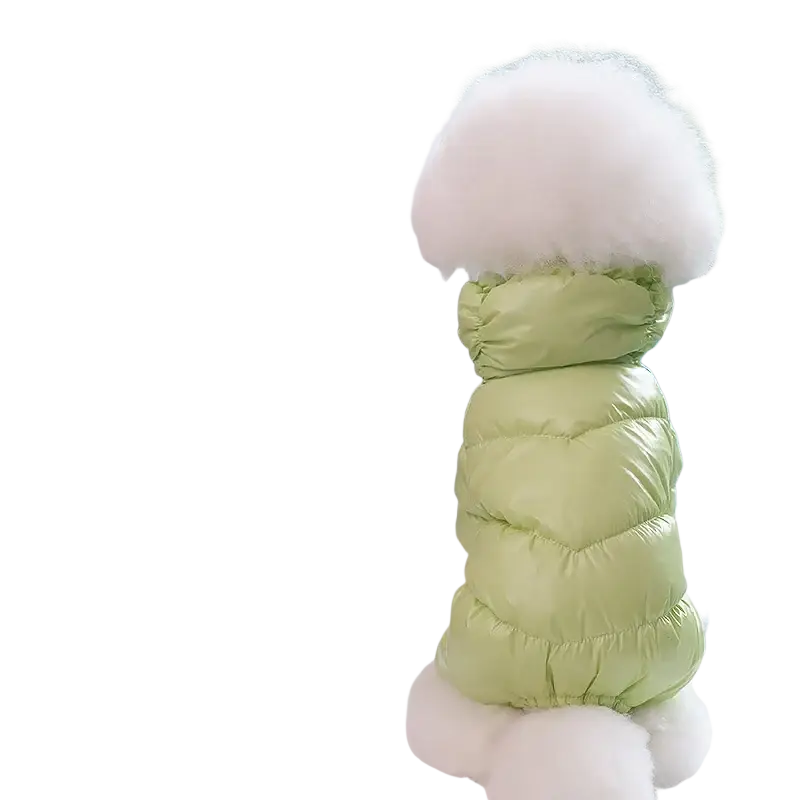 A fluffy white dog wearing light green quilted puffer coat pet clothing puppy windproof winter apparel