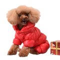 A fluffy brown poodle wearing bright red quilted down pet clothing puppy windproof winter coat with hood and buttons