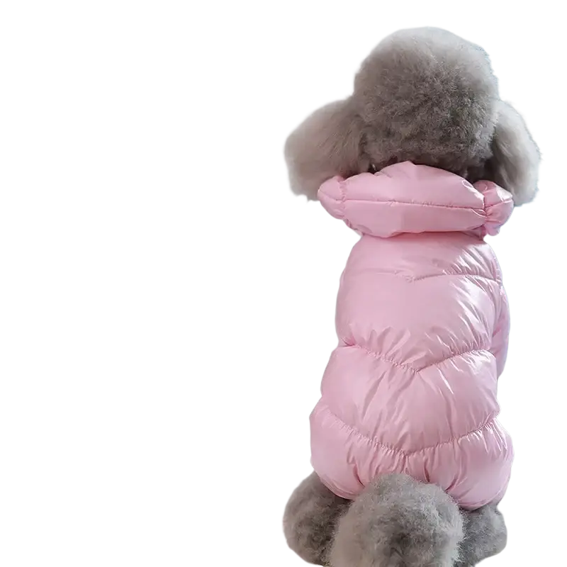 A fluffy gray poodle wearing pink quilted cotton pet clothing puppy windproof winter coat with hood