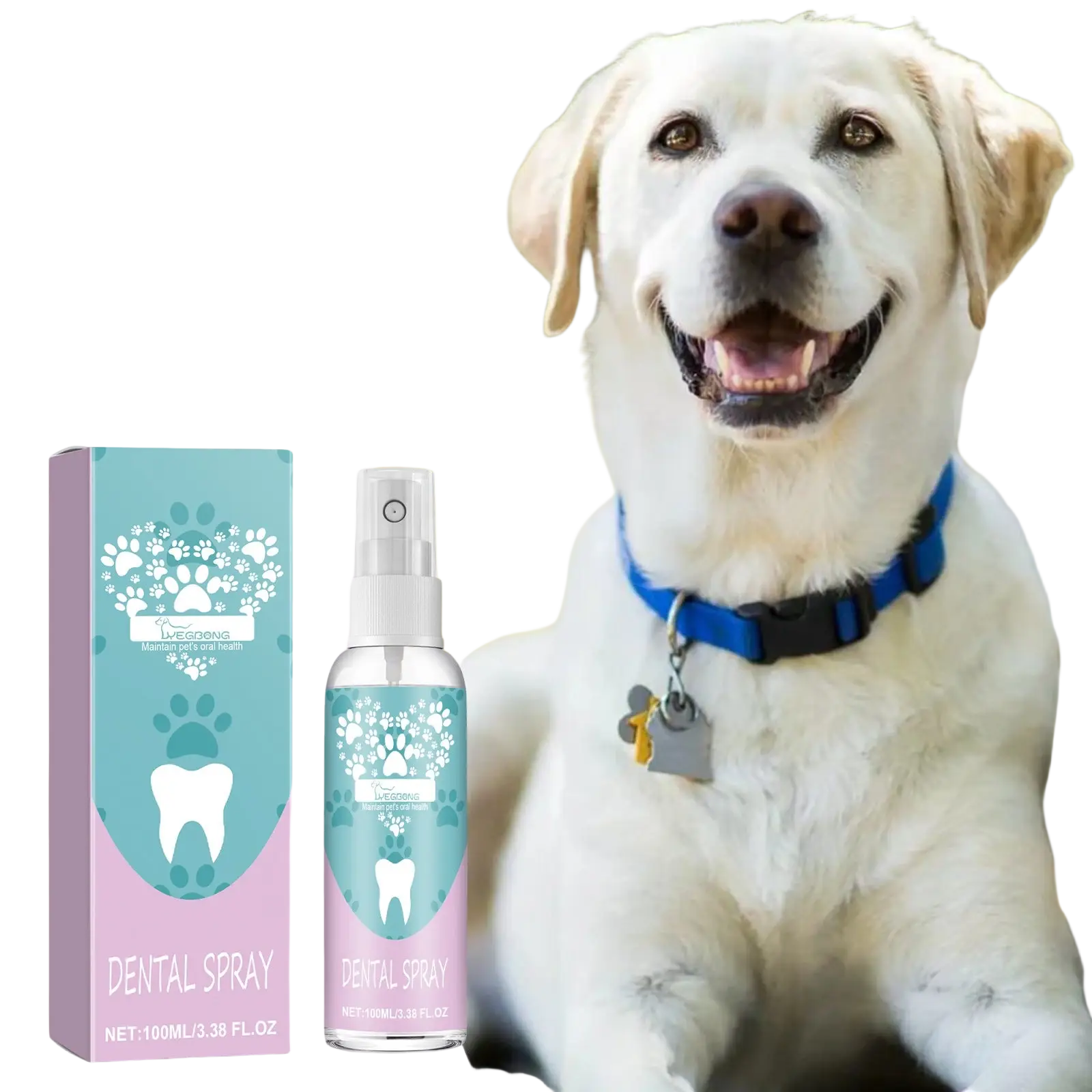 A clear spray bottle with a white pump and teal paw print and tooth label with its matching pet dental spray box