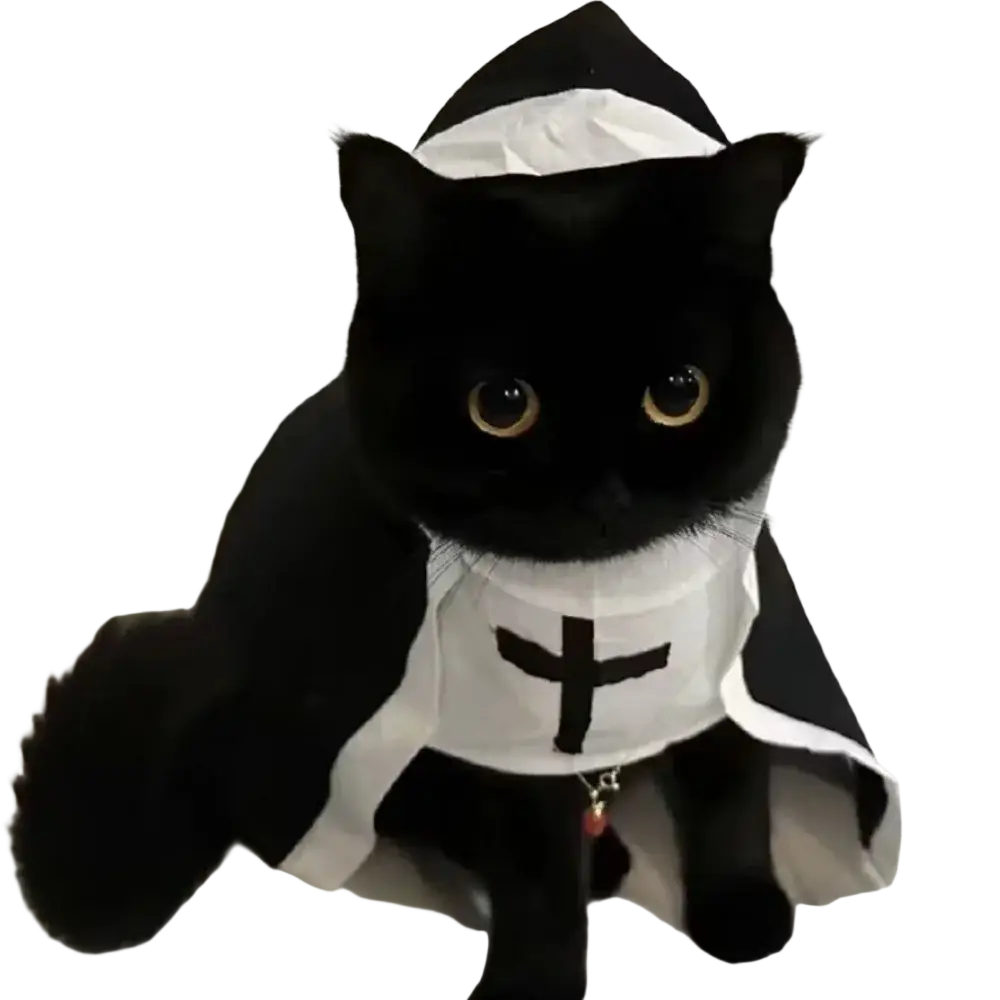 A black cat wearing a white and black pet dog cat nun costume made of polyester fibre with a cross emblem on the chest