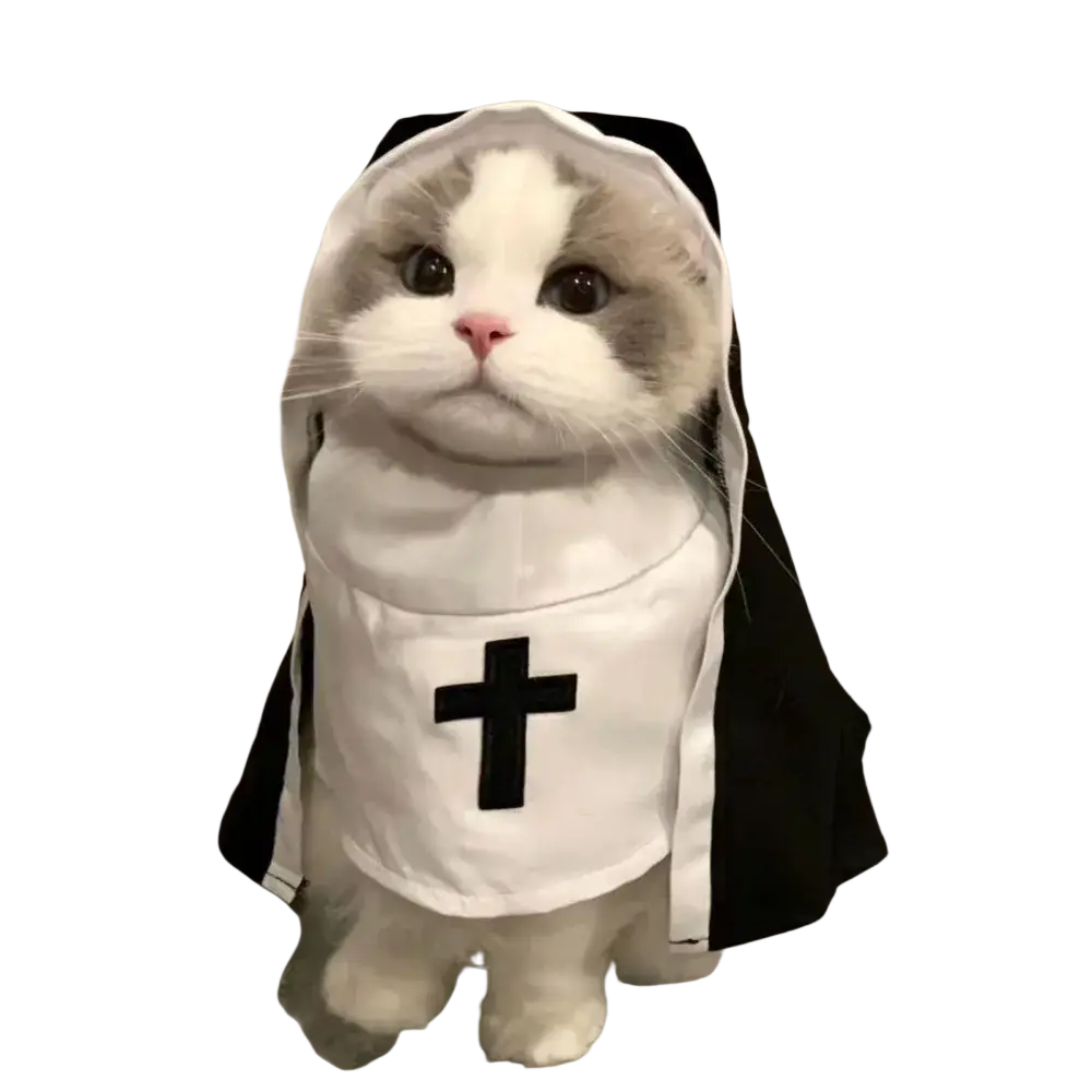 A fluffy cat wearing a black and white pet dog cat nun costume made of polyester fibre with a cross emblem on the front