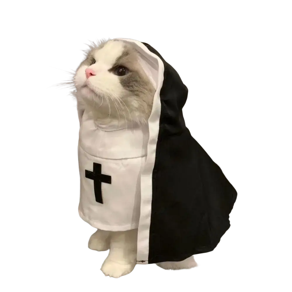A fluffy white and gray cat in a black and white polyester fibre pet dog cat nun costume with cross emblem