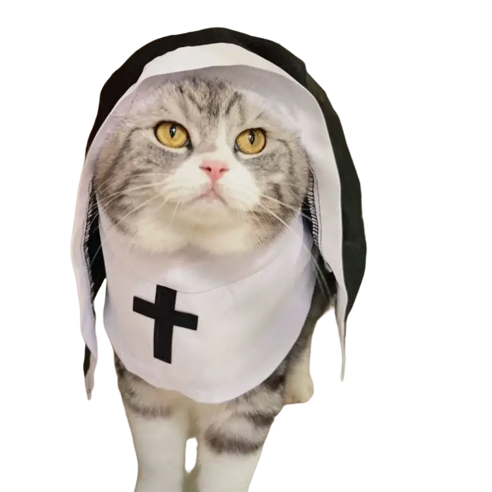 Gray tabby cat wearing a black and white pet dog cat nun costume made of polyester fibre with a cross emblem