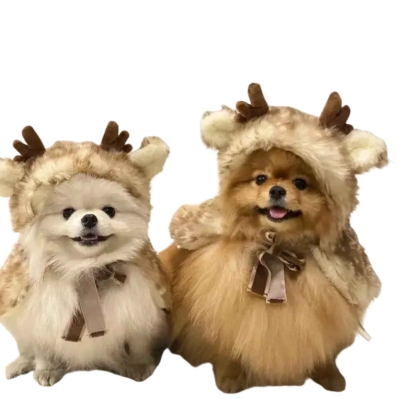 Two fluffy pomeranians wearing matching beige faux-fur reindeer pet dog clothes with brown antlers and bows