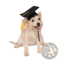 Black graduation cap with yellow tassel worn by a dog adjustable pet graduation hat for puppies and kittens