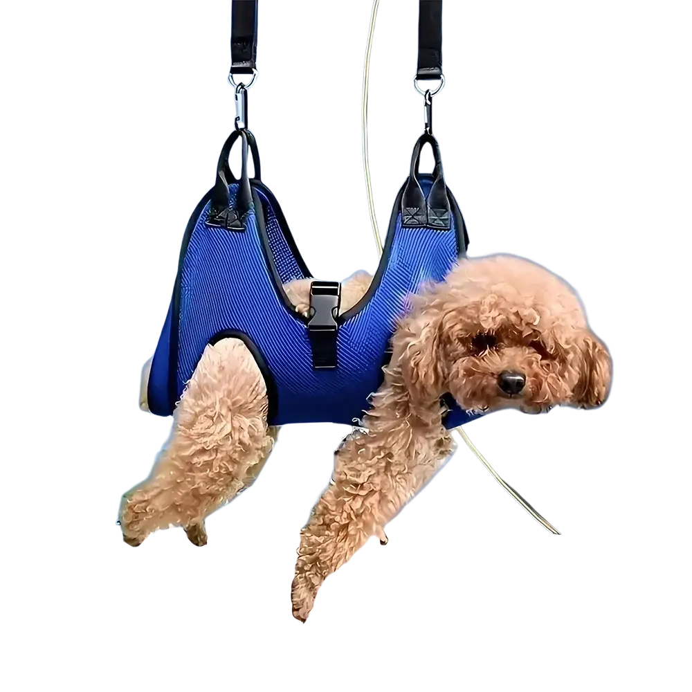 Blue mesh dog harness with black straps and buckle designed as a pet grooming hammock mesh nail clipping helper