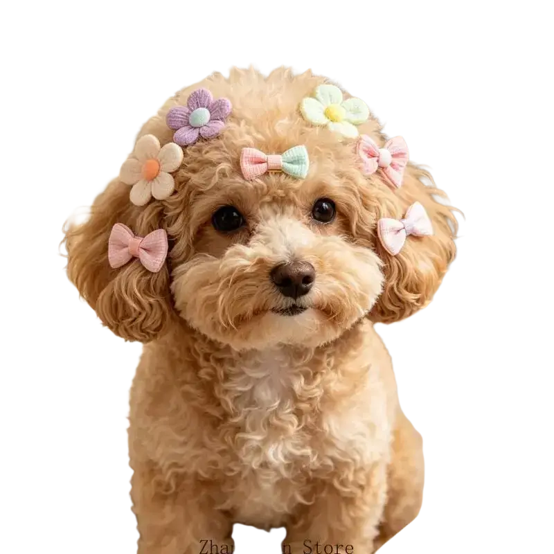 A fluffy tan poodle wearing pet hair bows with elastic attachment in mixed pastel colors for decorative use