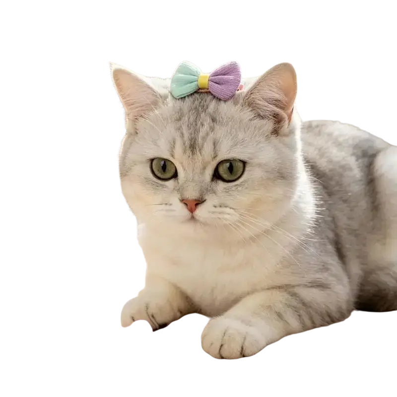 Soft pastel-colored fabric pet hair bow clip with yellow center and elastic attachment in mixed pastel colors for cats