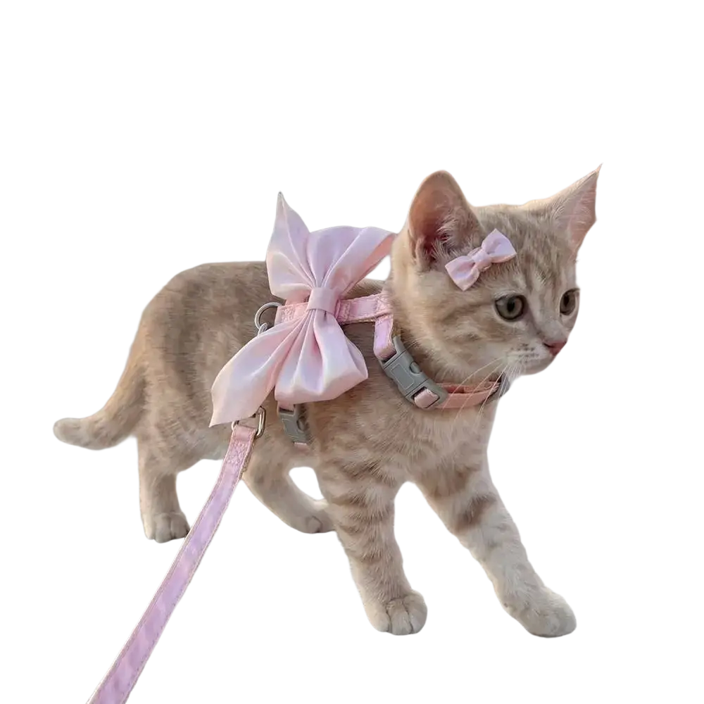 A light pink satin pet harness with breathable bow, adjustable metal clasps, matching leash, and coordinating headband