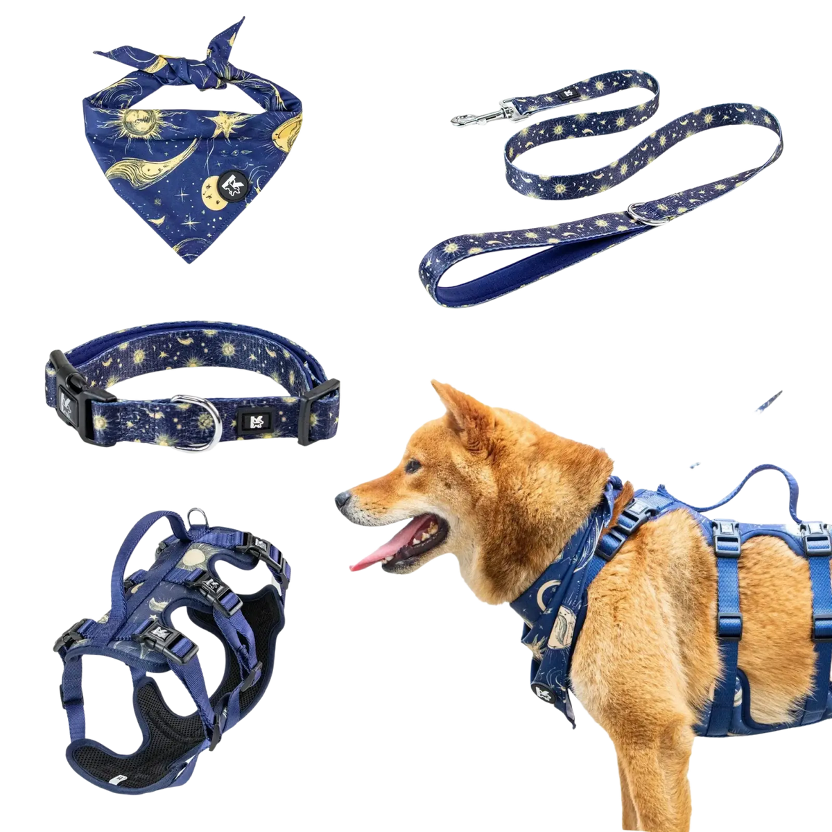 Blue celestial-themed pet harness set with adjustable neck circumference, black mesh padding, collar, and pet leash