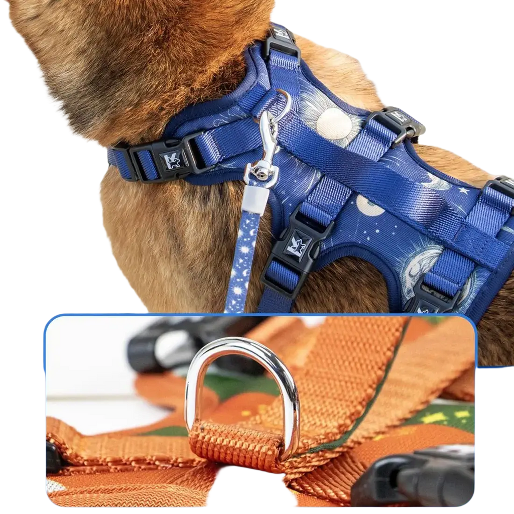 Blue space-themed pet harness set with adjustable neck circumference collar leash featuring black buckles and silver d-ring attachment