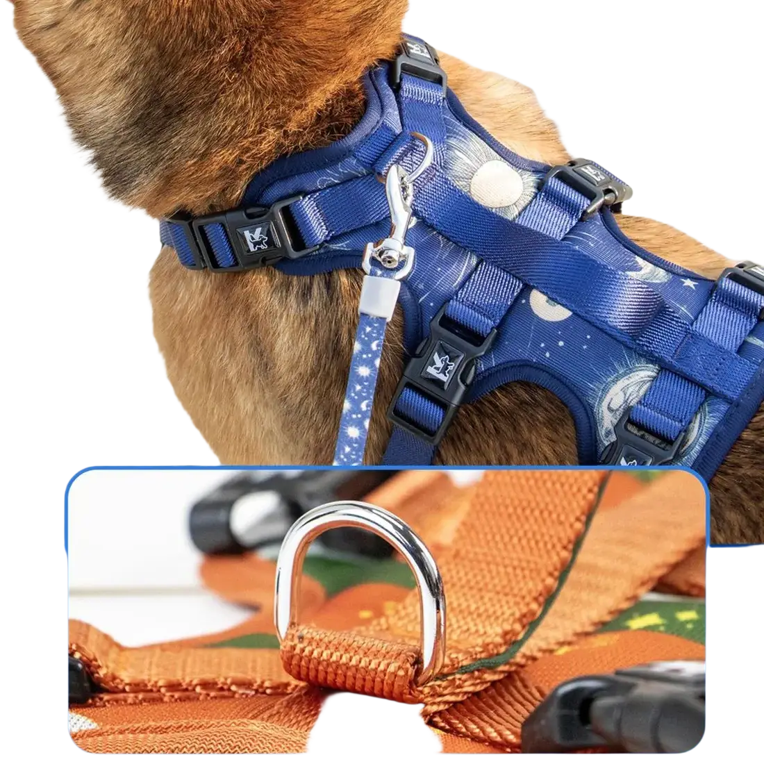 Blue space-themed pet harness set with adjustable neck circumference collar leash featuring black buckles and silver d-ring attachment