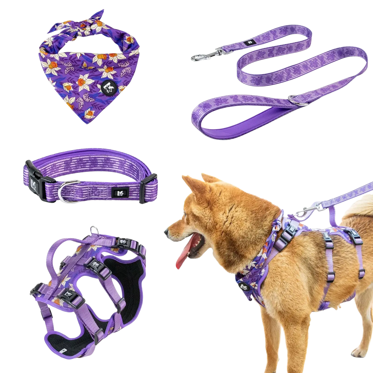 Purple floral-patterned pet harness set with adjustable neck circumference collar and pet leash with black accents