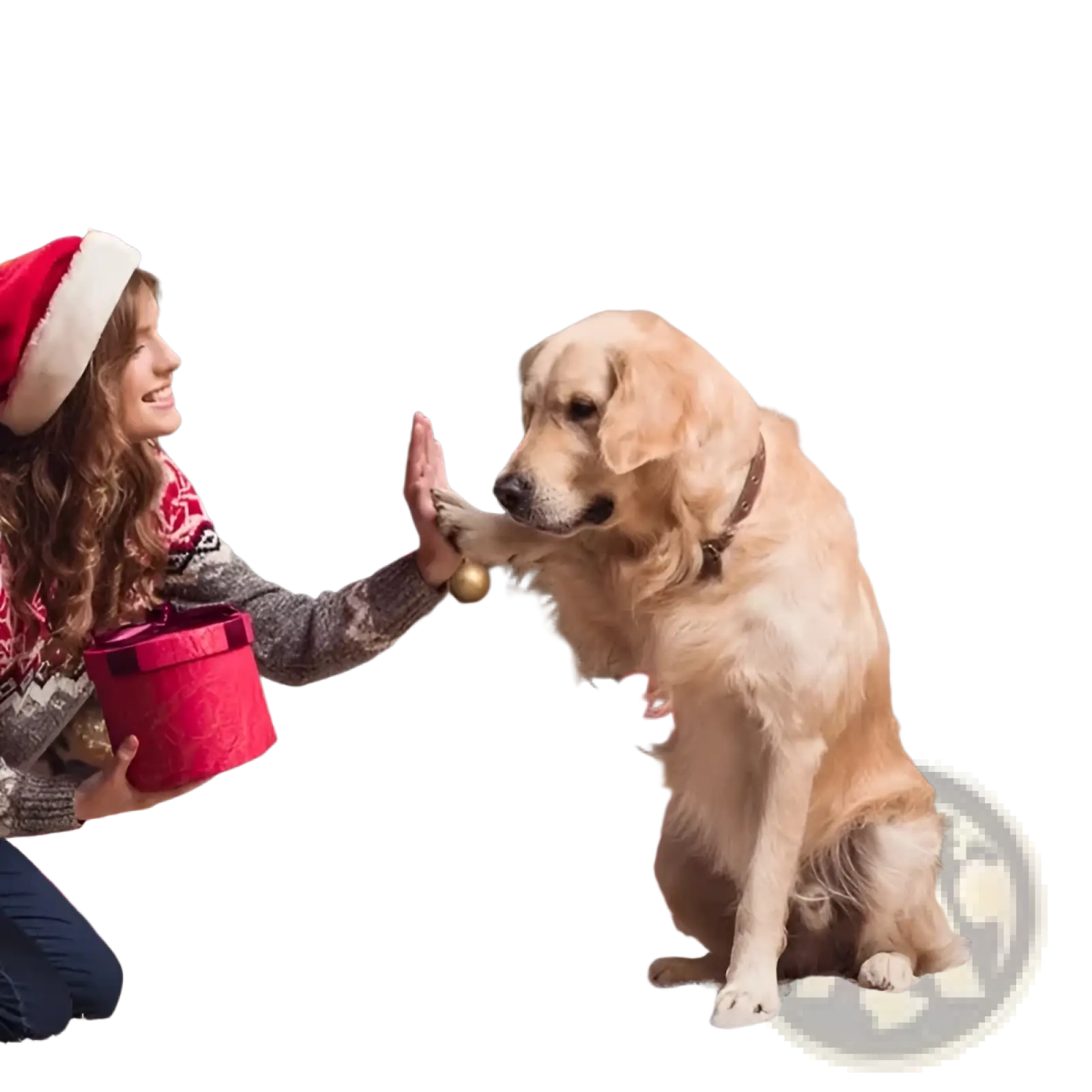 Gold-furred golden retriever sitting on a waterproof electric pet heating pad with patterned mat by christmas tree