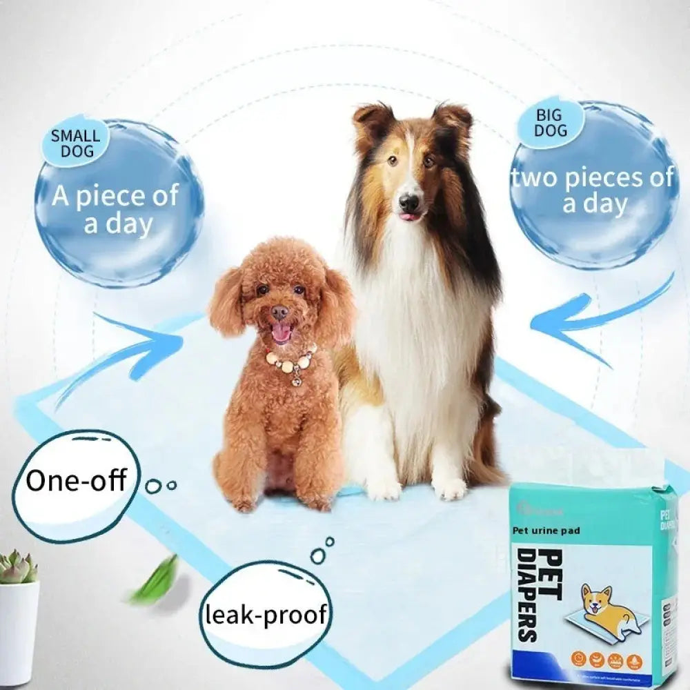 Teal and white package of super absorbent leak proof pet diapers with cartoon dog for puppy training pads