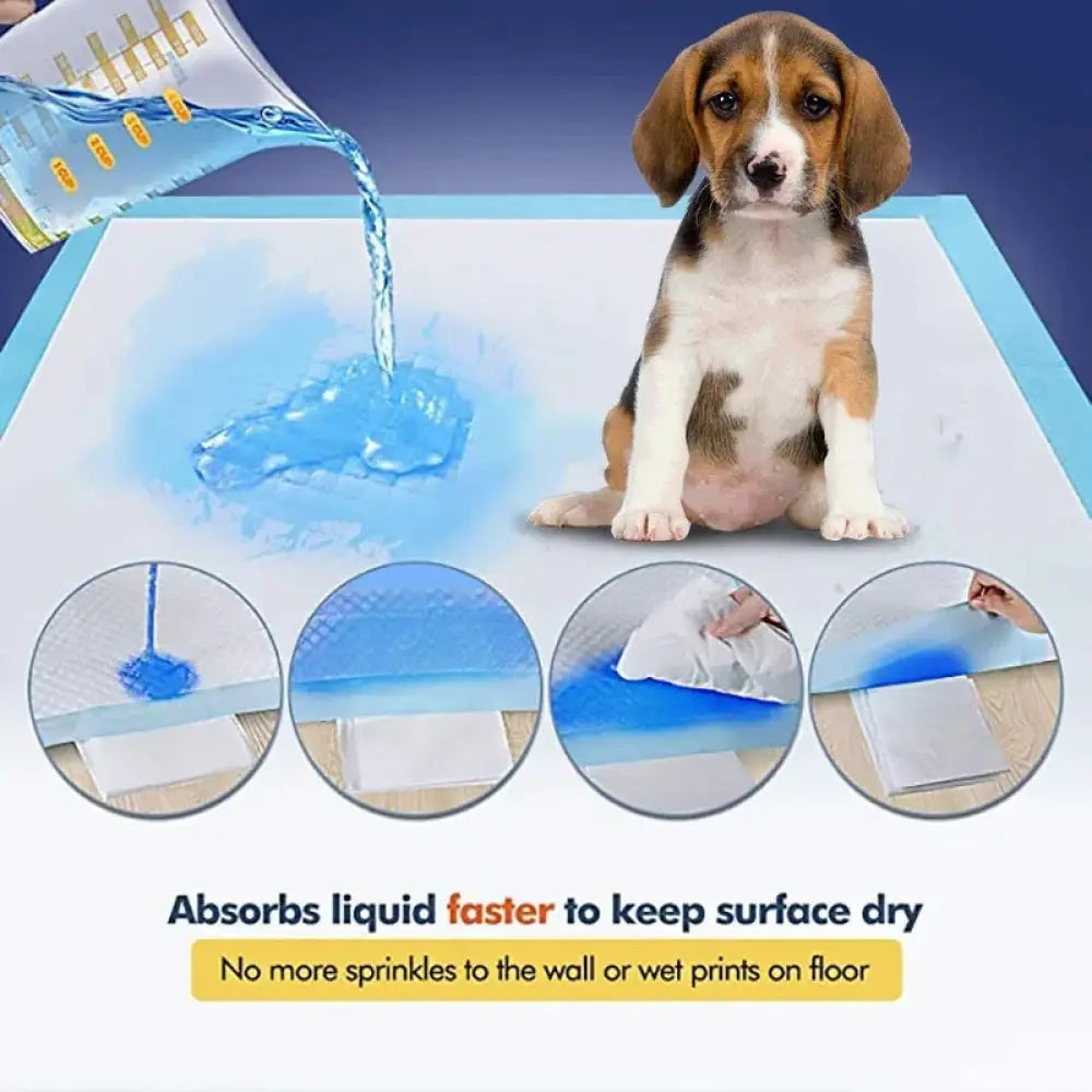 Blue super absorbent leak proof puppy training pad designed for effective and hygienic pet training use
