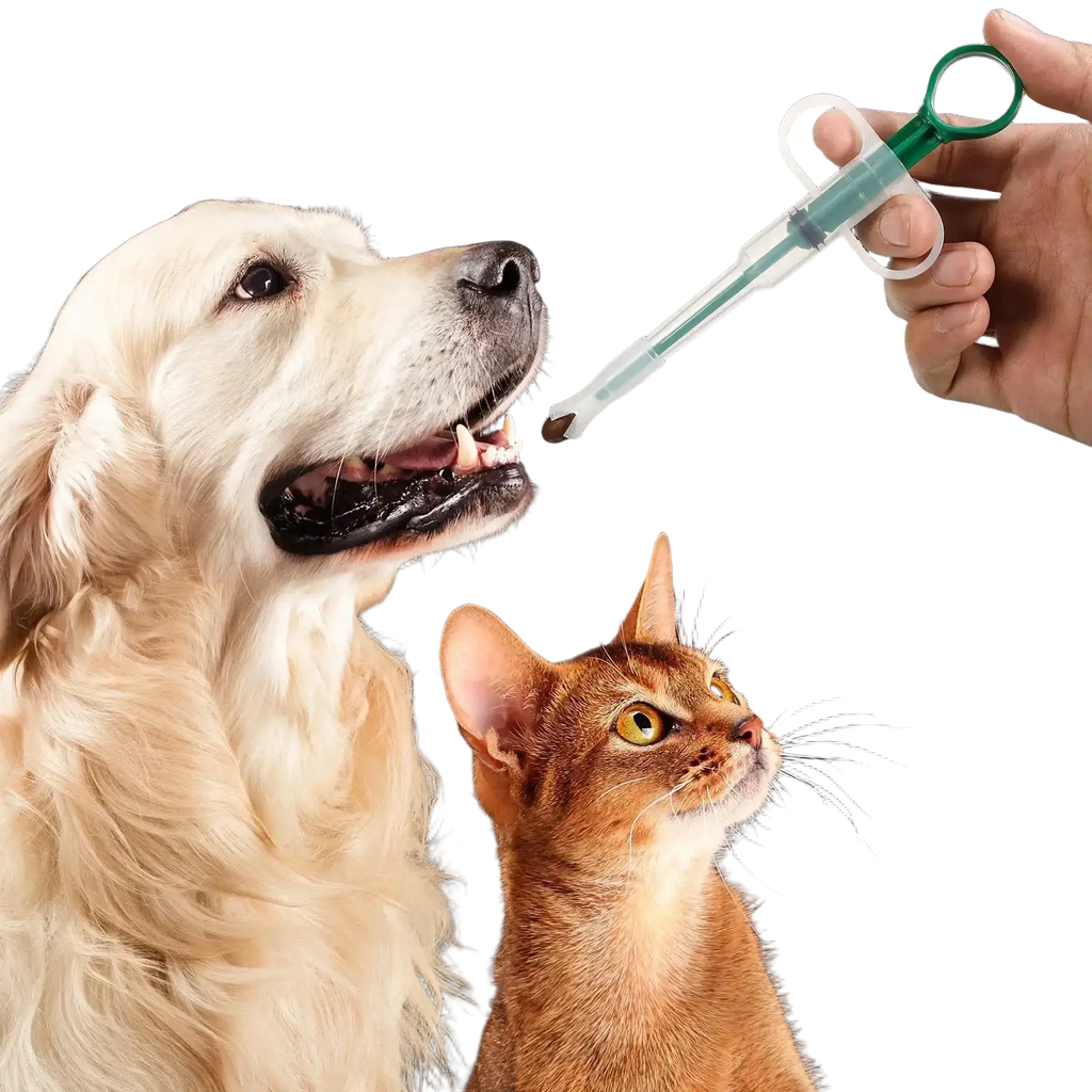 Green and clear plastic pet pill dispenser with handle and replacement head for administering medication to animals