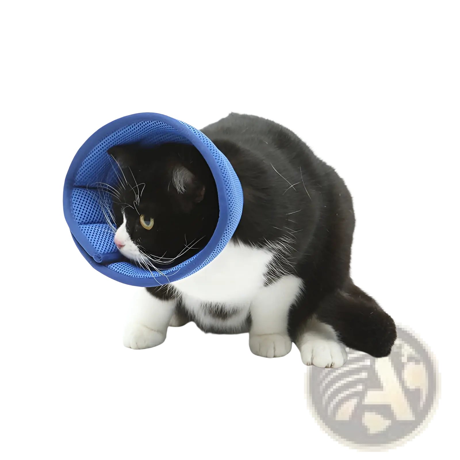 Blue mesh pet recovery collar anti bite cone elizabethan circle showing the back side of the product