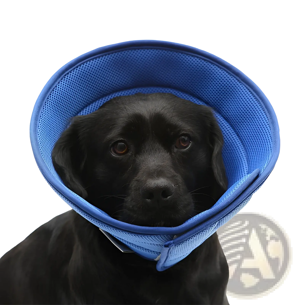 Blue mesh pet recovery collar anti bite cone made of breathable material for post-surgery protection