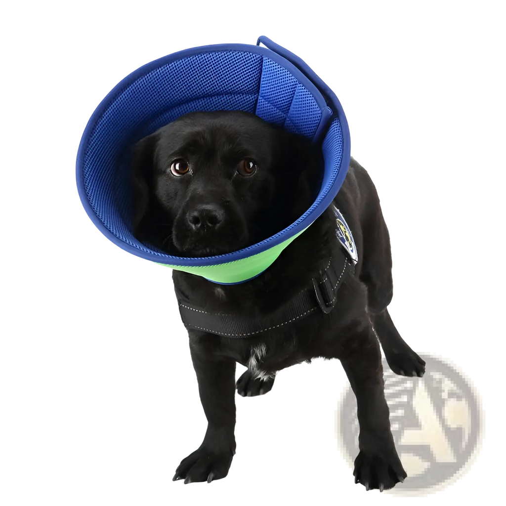Blue and green mesh pet recovery collar with adjustable strap anti bite cone elizabethan circle for dogs