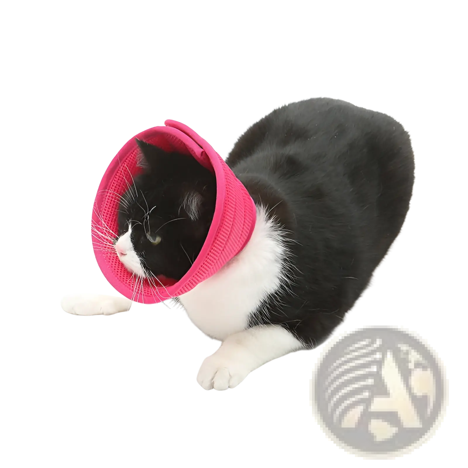 Pink mesh pet recovery collar anti bite cone elizabethan circle designed for cats to prevent biting and licking wounds