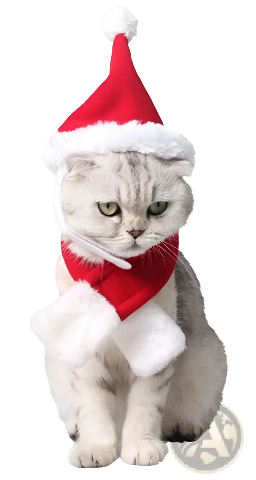 A fluffy silver tabby cat wearing a red santa hat and scarf modeling a red pet reindeer antlers Christmas hairband