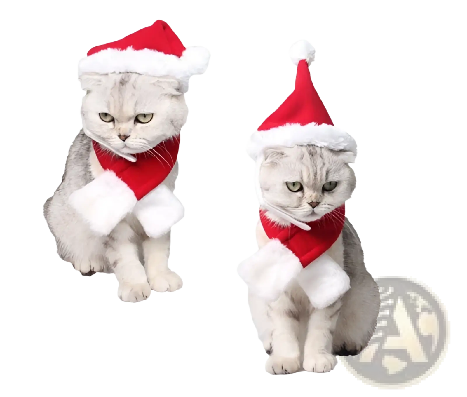 Two fluffy silver tabby cats wearing matching red and white pet reindeer antlers christmas hairband with plush scarves