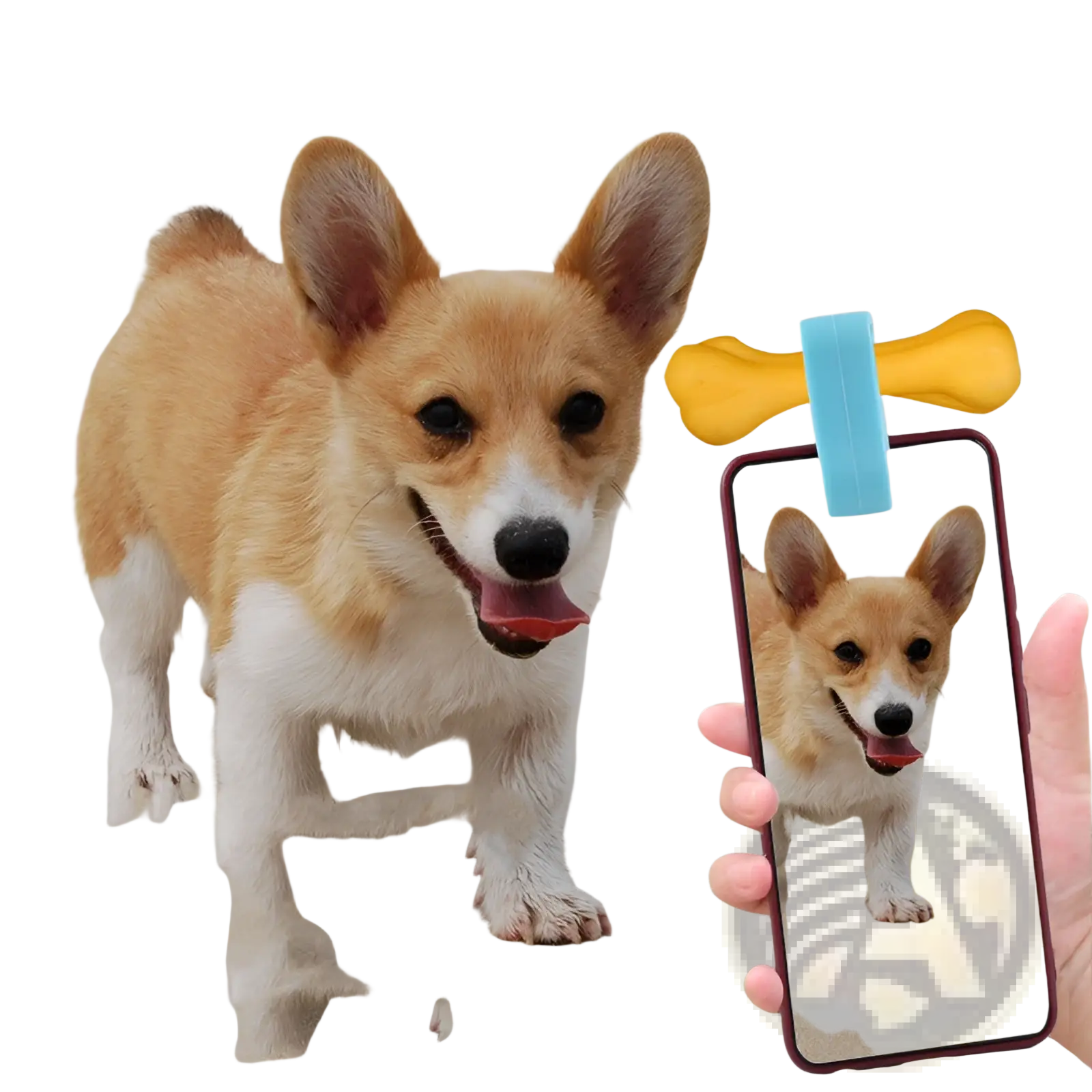 Yellow and blue bone-shaped dog toy with clip in pet selfie phone clip and dog toy set for pet engagement