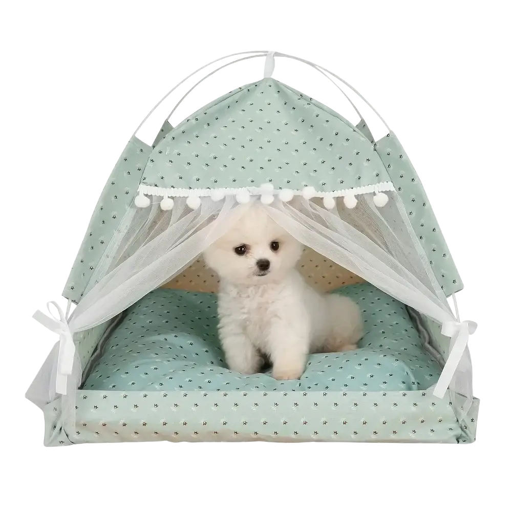 A mint green pet tent with polka dots, white pom-pom trim, and sheer mesh sides for cats and dogs