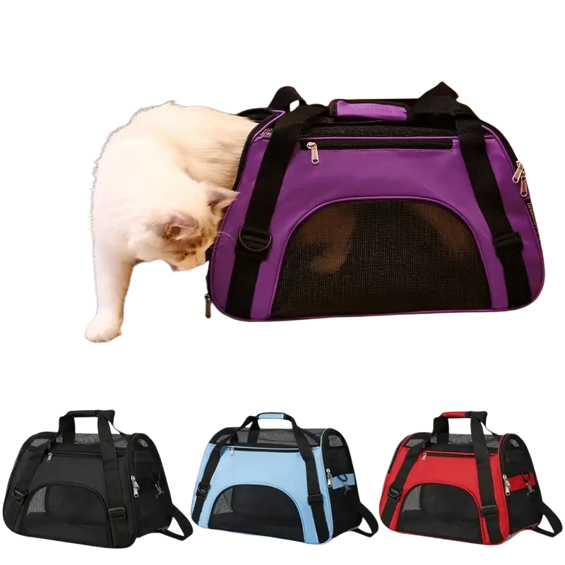 Purple and black pet travel soft sided carrier with mesh ventilation provides a comfortable space for pets