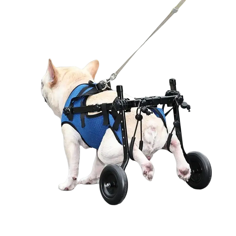 Blue mesh pet walk booster dog wheelchair with black metal frame and wheels for enhanced walk support