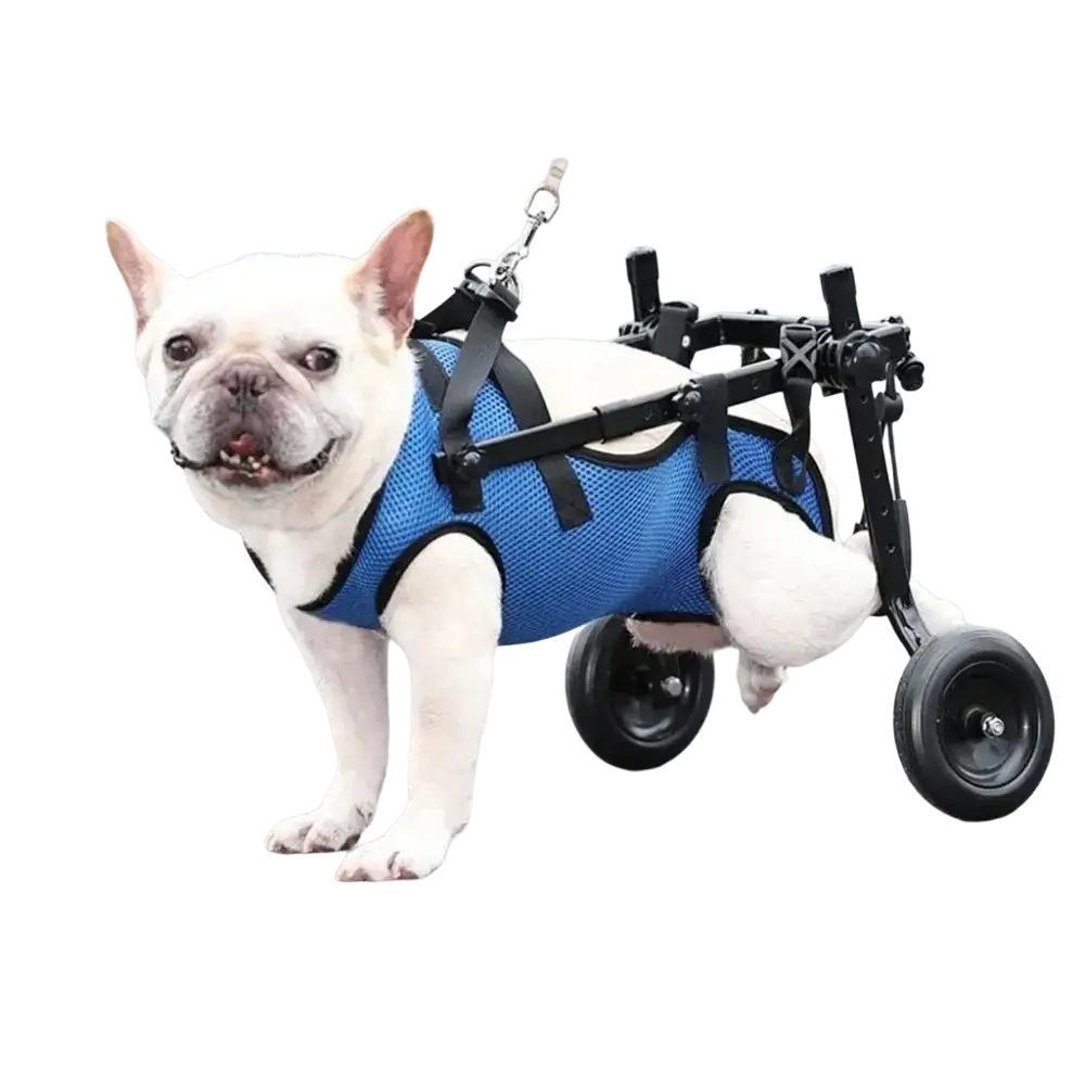 Blue mesh pet walk booster dog wheelchair with black adjustable straps and wheels for mobility assistance