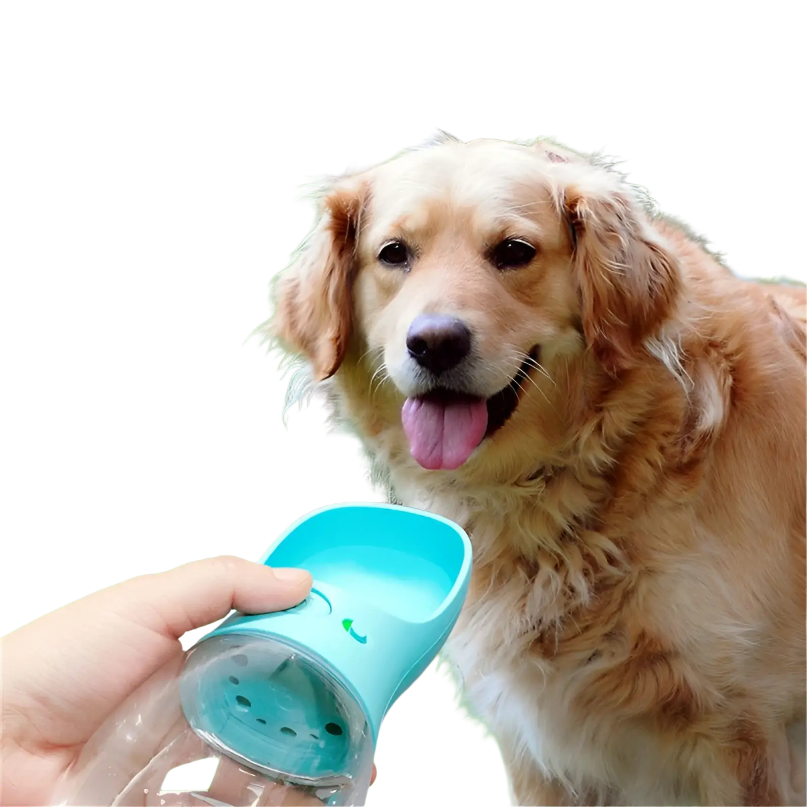Light blue plastic pet water bottle with transparent base and perforated spout for portable outdoor use
