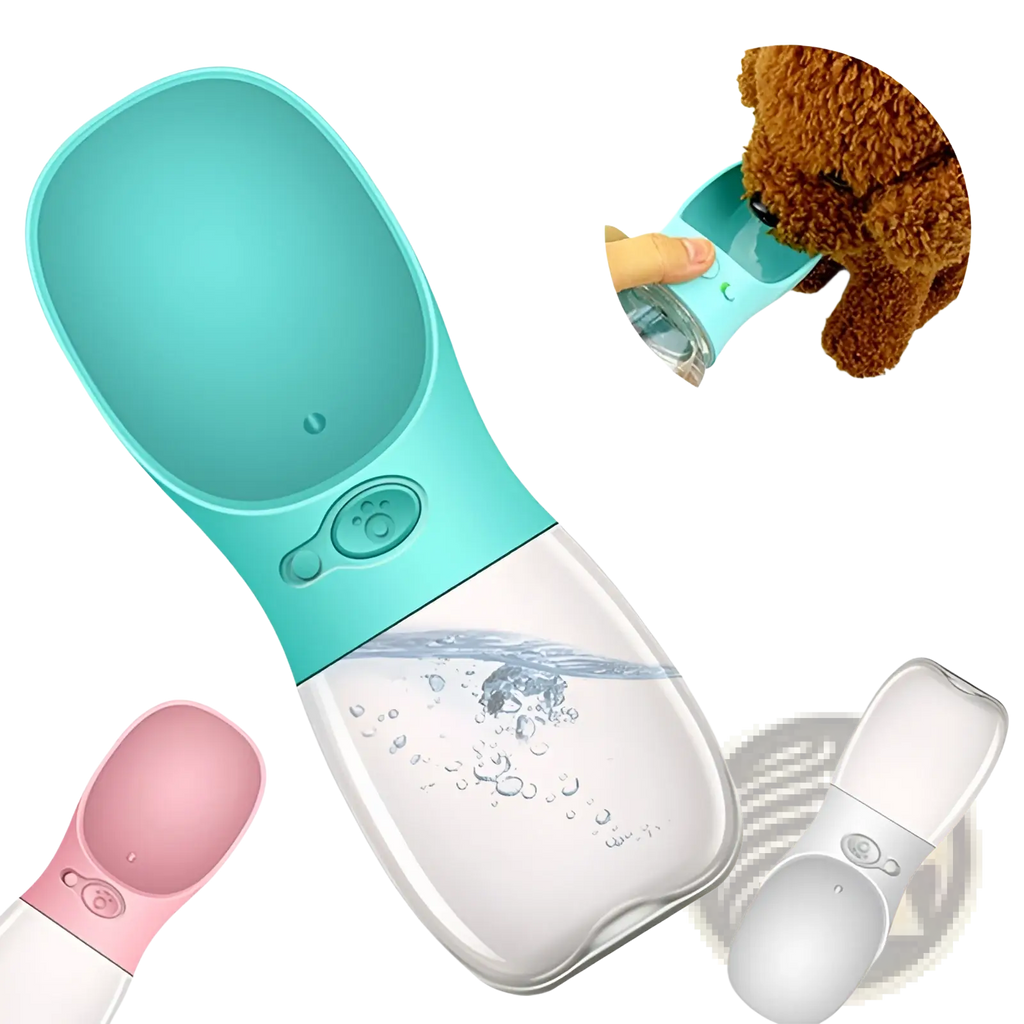 Turquoise silicone and transparent plastic pet water bottle with spout for easy drinking portable outdoor use