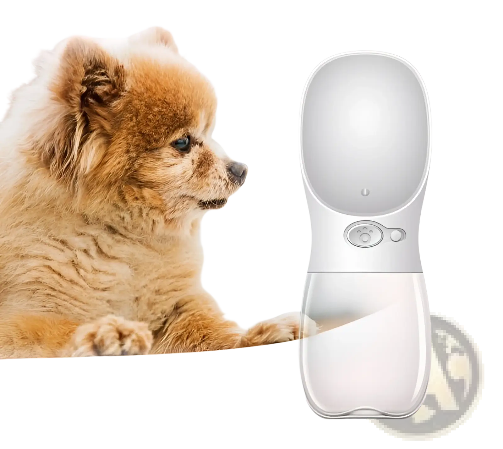 White plastic pet water bottle with ergonomic design and measurement markings 75mm width 208mm height for outdoor use