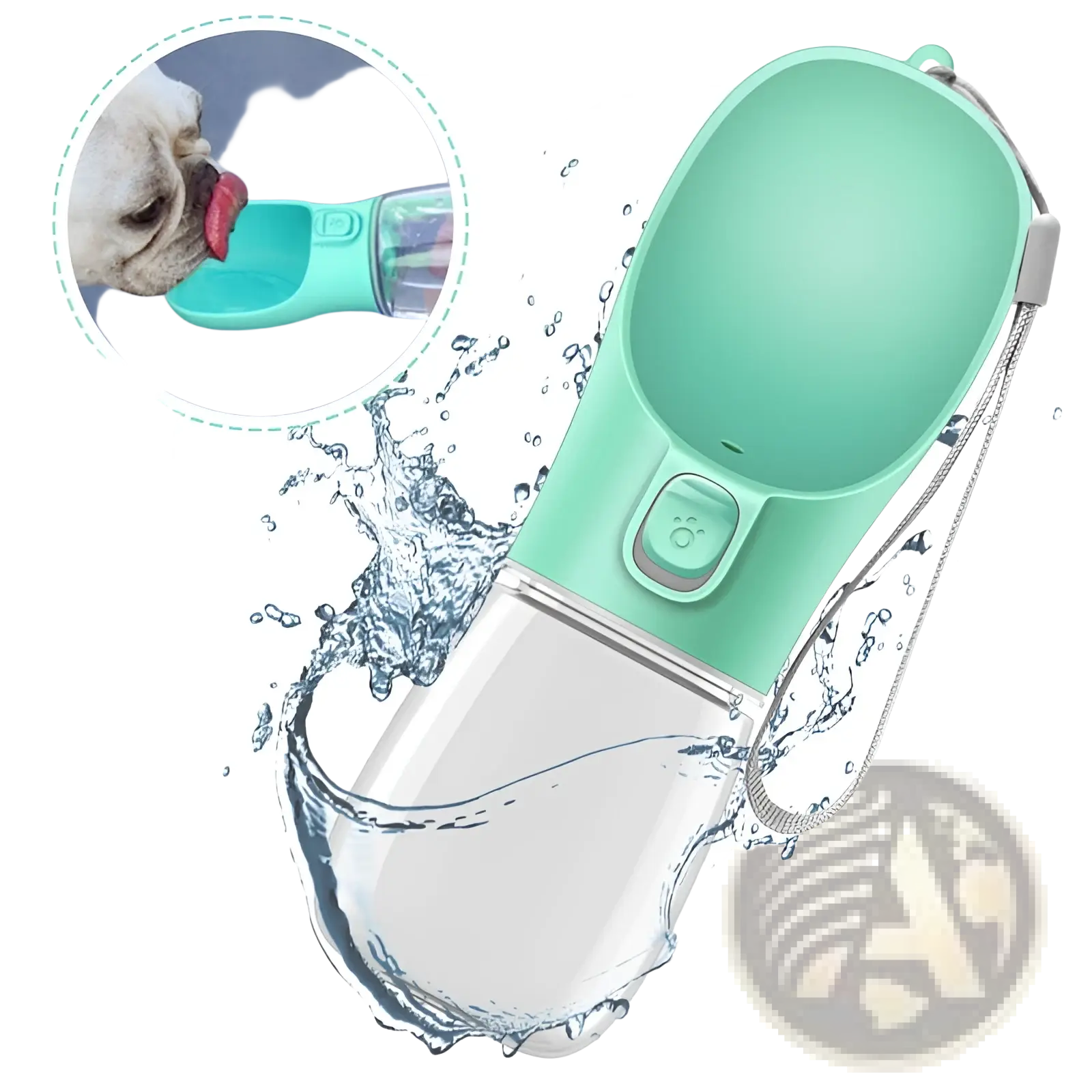 A sleek mint-green pet water bottle with a transparent lower section and integrated carrying strap for travel