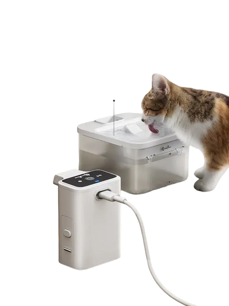 White plastic pet water fountain wireless motion sensor with removable battery and 160ml storage capacity water dispenser