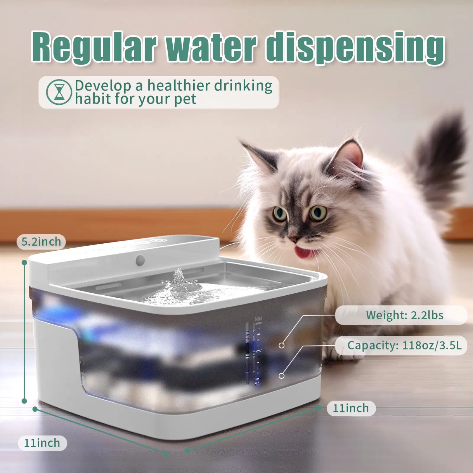 White and transparent pet water fountain with wireless sensor uv light pump and blue led lighting