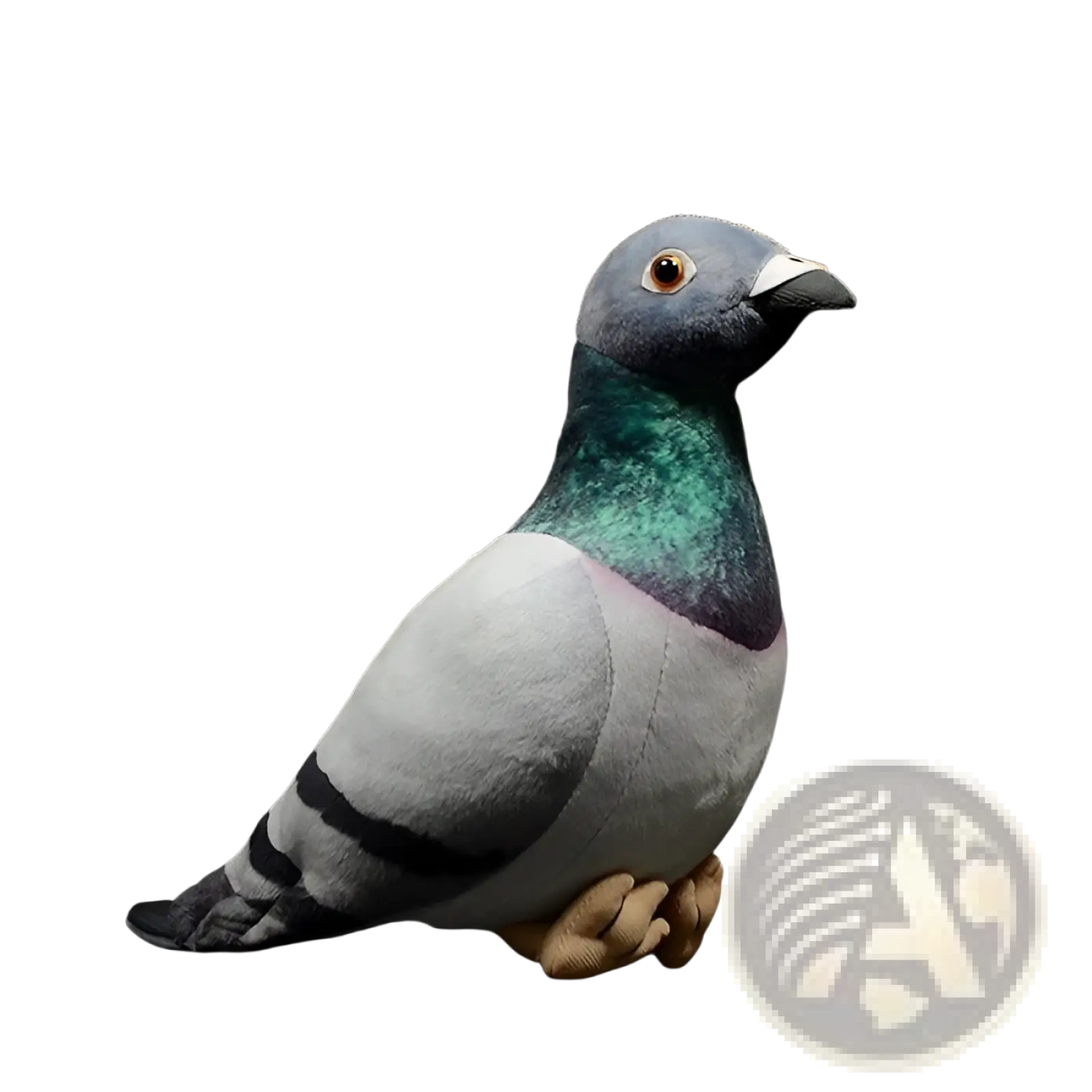Pigeon plush toy 19cm with gray body, green iridescent neck, black wing stripes, and tan feet soft doll