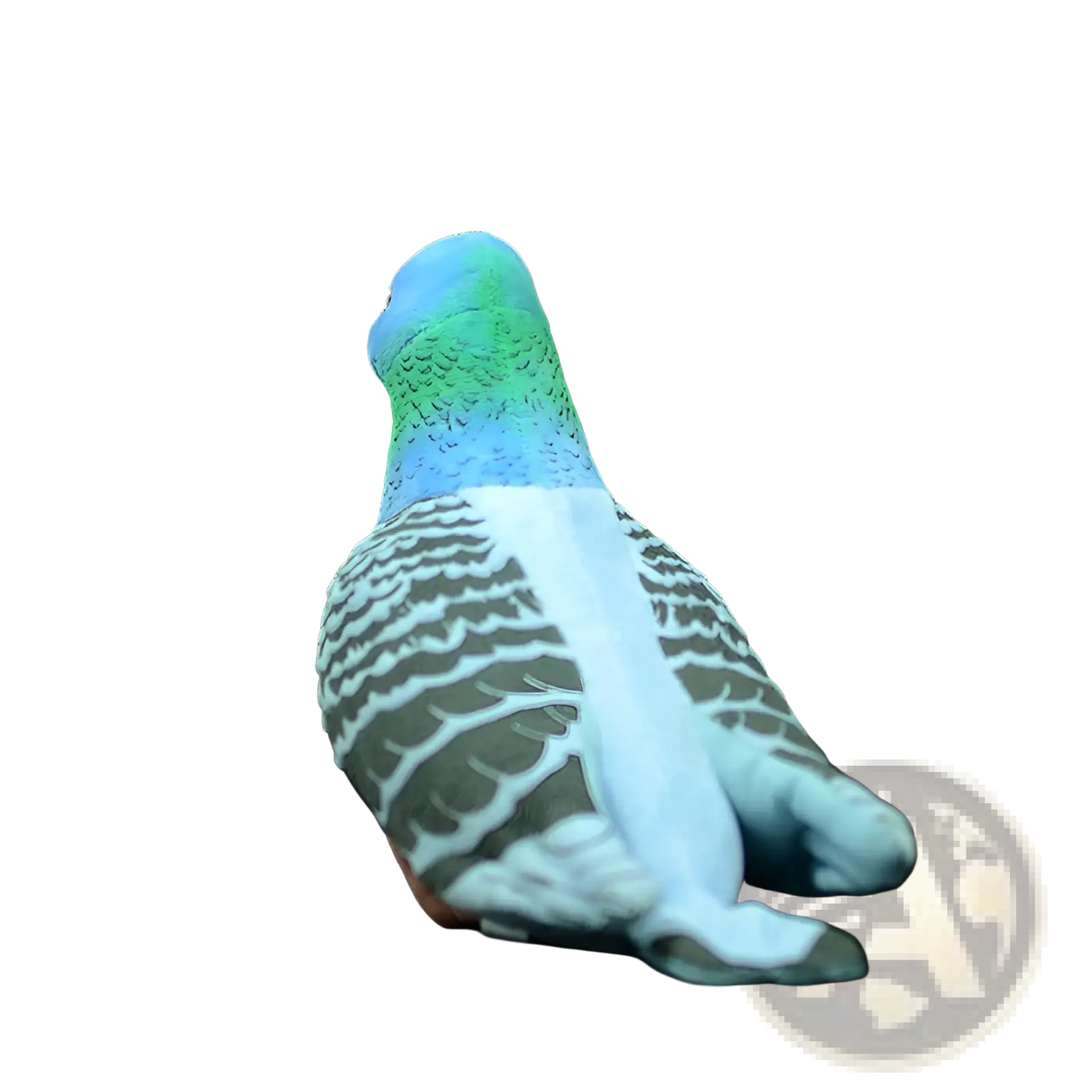 A detailed glossy pigeon plush toy 19cm with iridescent blue green head and white gray patterned wings